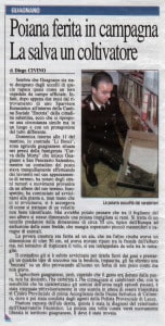 2010-01-26