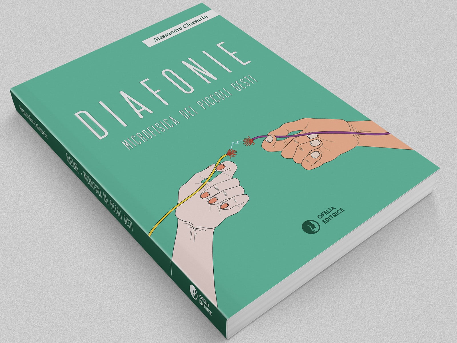 diafonie 1